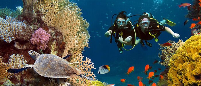 snorkling-in-red-sea