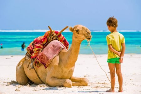 Discover Sharm El Sheikh Quad Biking with Camel Ride