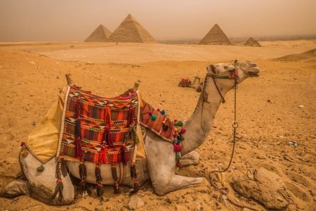 8-Day Cairo, Nile Cruise & Hurghada Tour