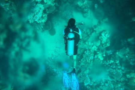 7 Days Cairo to Sharm El Sheikh Tour Package