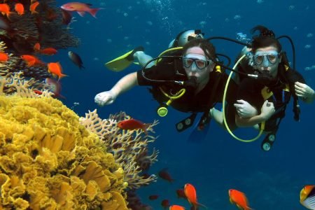 Snorkeling Trip from Safaga Port