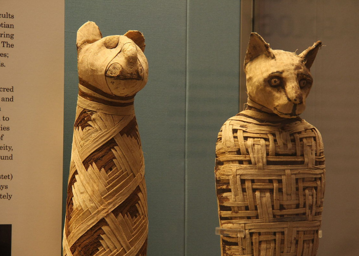 Animals in Ancient Egypt